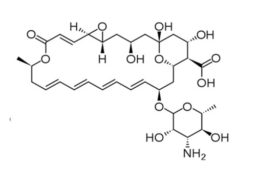 Cấu trúc của Natamycin 5% trong thuốc Aumnata 5%