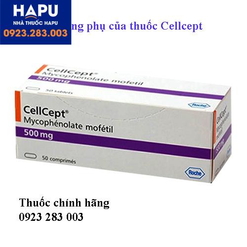 Tác dụng phụ của thuốc cellcept