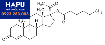 Cấu trúc của Hydroxyprogesterone Caproate