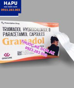 Thuốc Gramadol công dụng liều dùng