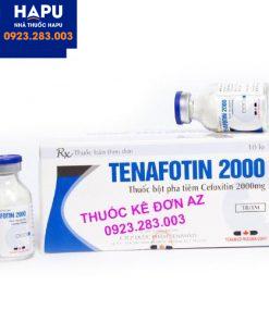 Thuốc Tenafotin công dụng, liều dùng