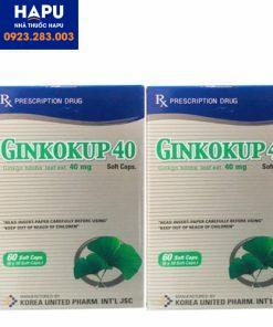 Thuốc-Ginkokup-40-ginkgo-Biloba-cách-dùng