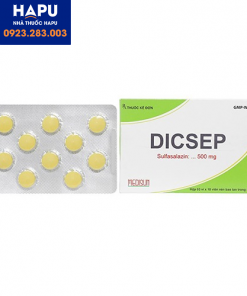 Thuốc Dicsep 500mg giá bao nhiêu