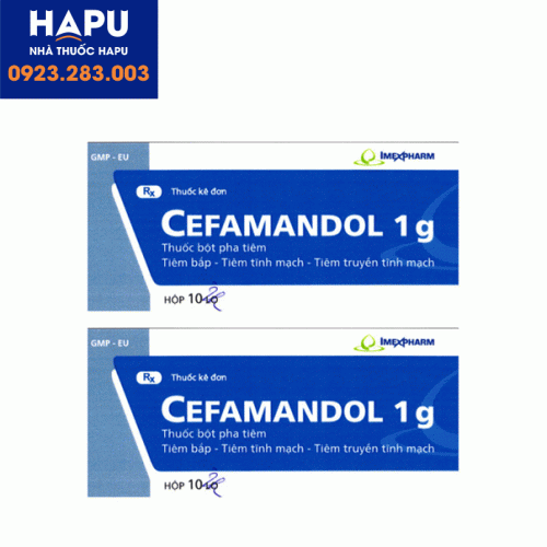 Thuốc-Cefamandol-1g-giá-bao-nhiêu