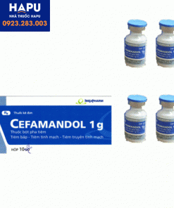 Thuốc-Cefamandol-1g-mua-ở-đâu