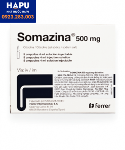 Thuốc Somazina 500mg là thuốc gì
