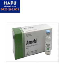 Thuốc Amcefal 2g