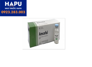 Thuốc Amcefal 2g